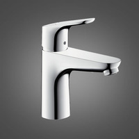 Hansgrohe Focus (31517000)